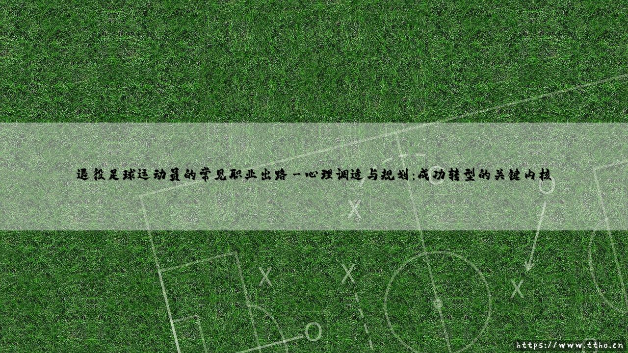 退役足球运动员的常见职业出路:绿茵场之外的人生赛场-第3张图片-天体号 退役足球运动员的常见职业出路:绿茵场之外的人生赛场-第3张图片-天体号