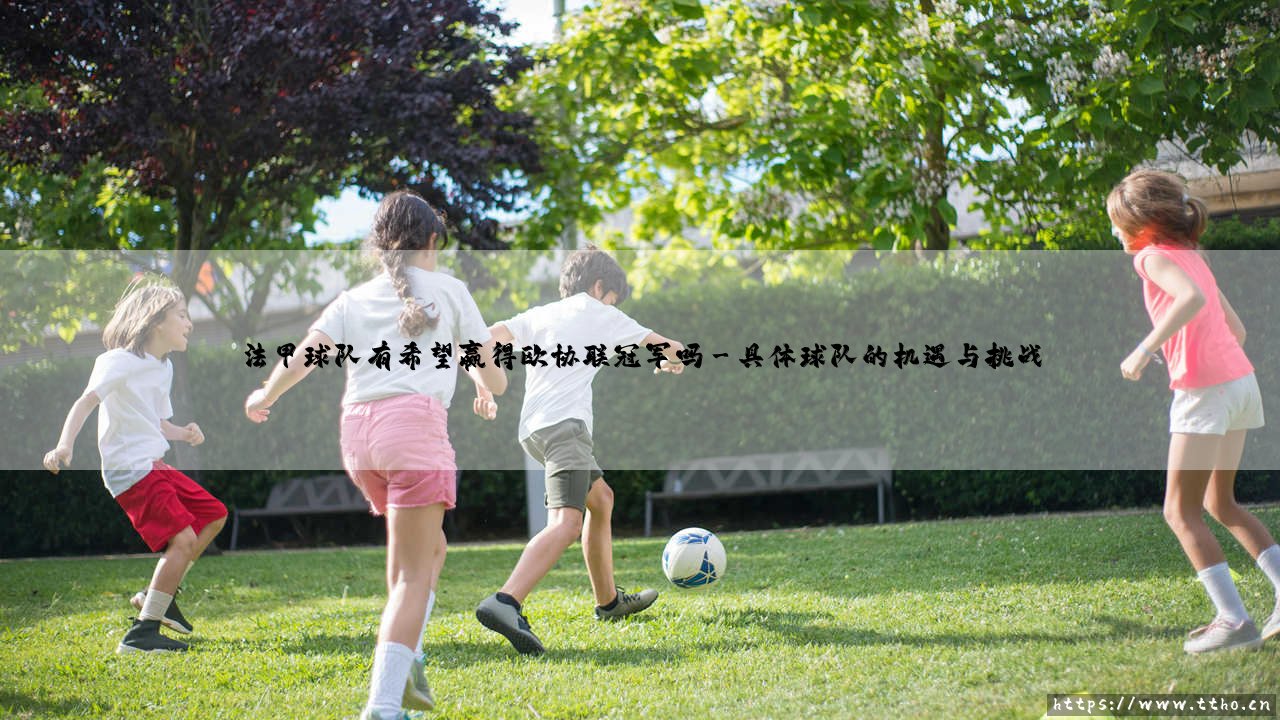 法甲球队有希望赢得欧协联冠军吗?深度剖析法甲球队的欧协联冠军希望-第3张图片-天体号 法甲球队有希望赢得欧协联冠军吗?深度剖析法甲球队的欧协联冠军希望-第3张图片-天体号