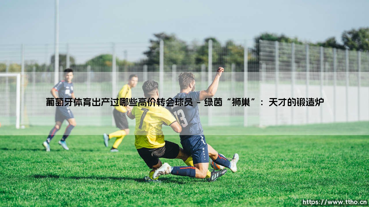 葡萄牙体育出产过哪些高价转会球员(足球那些事儿)-第1张图片-天体号 葡萄牙体育出产过哪些高价转会球员(足球那些事儿)-第1张图片-天体号