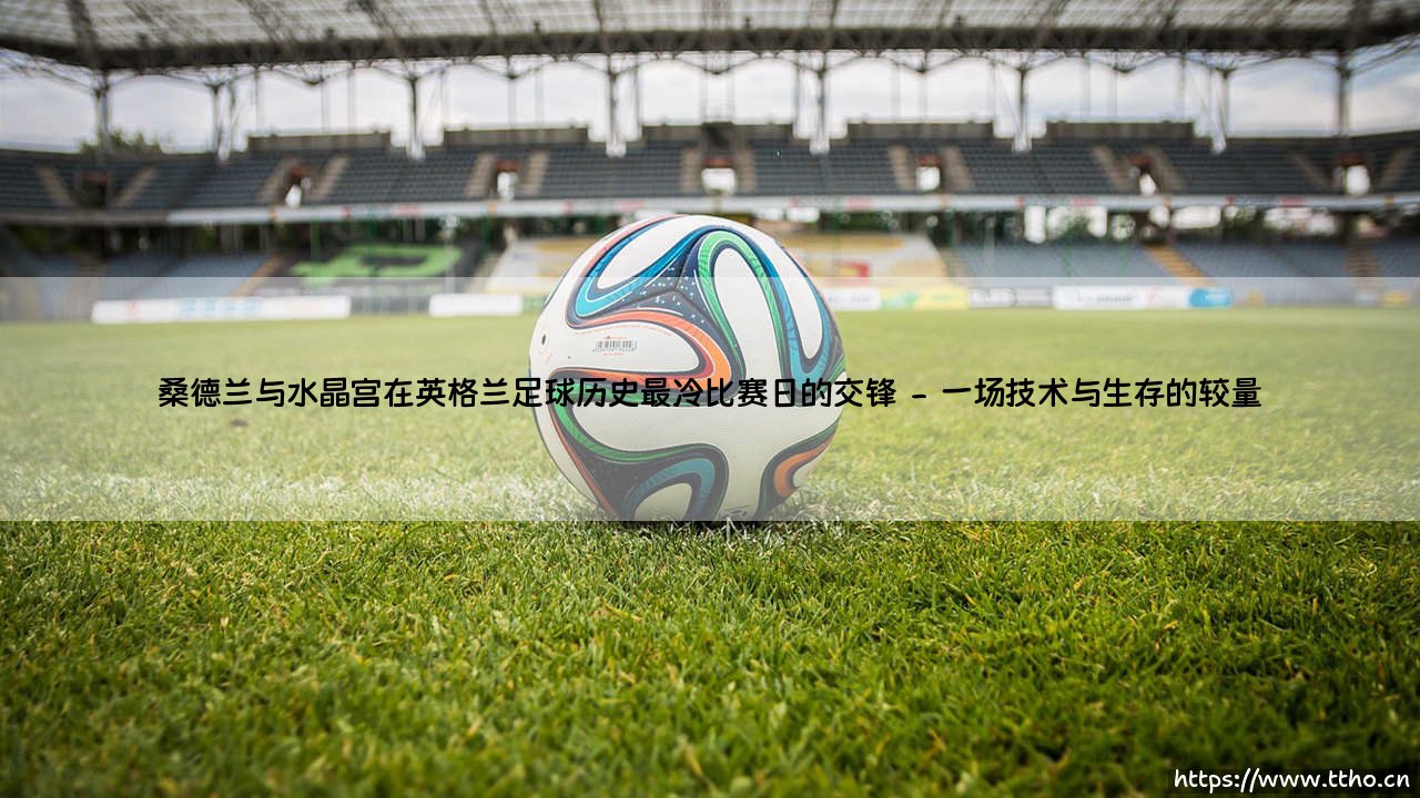 桑德兰与水晶宫：英格兰足球史上最冷比赛日的冰封记忆-第2张图片-天体号