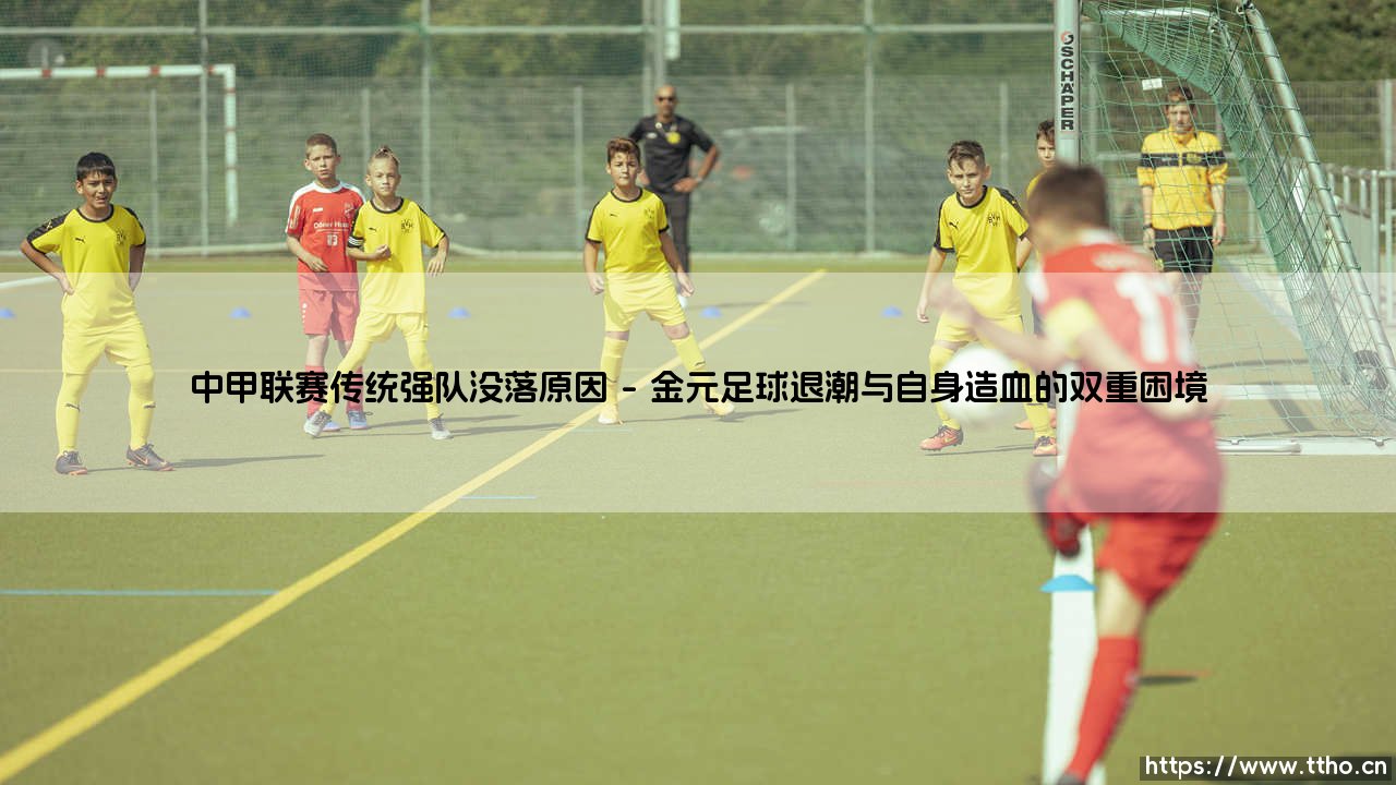 中甲联赛传统强队没落原因:时代浪潮下的失语者-第1张图片-天体号 中甲联赛传统强队没落原因:时代浪潮下的失语者-第1张图片-天体号