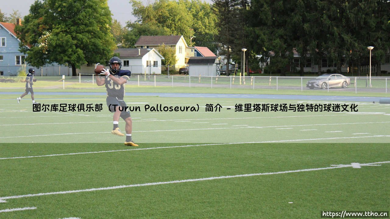 图尔库足球俱乐部（Turun Palloseura）简介：芬兰西海岸的足球旗帜-第2张图片-天体号