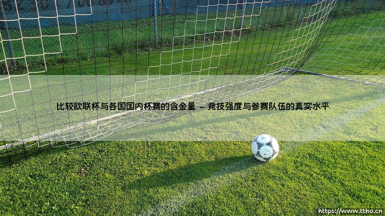 欧联杯与各国杯赛:究竟谁的含金量更高?一场关于荣耀与价值的深度探讨-第2张图片-天体号 欧联杯与各国杯赛:究竟谁的含金量更高?一场关于荣耀与价值的深度探讨-第2张图片-天体号