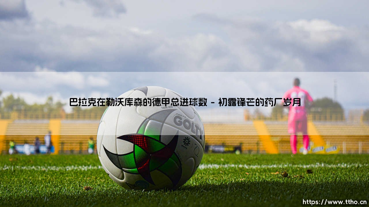 巴拉克在勒沃库森的德甲总进球数：一段钢铁中场的数据传奇-第1张图片-天体号