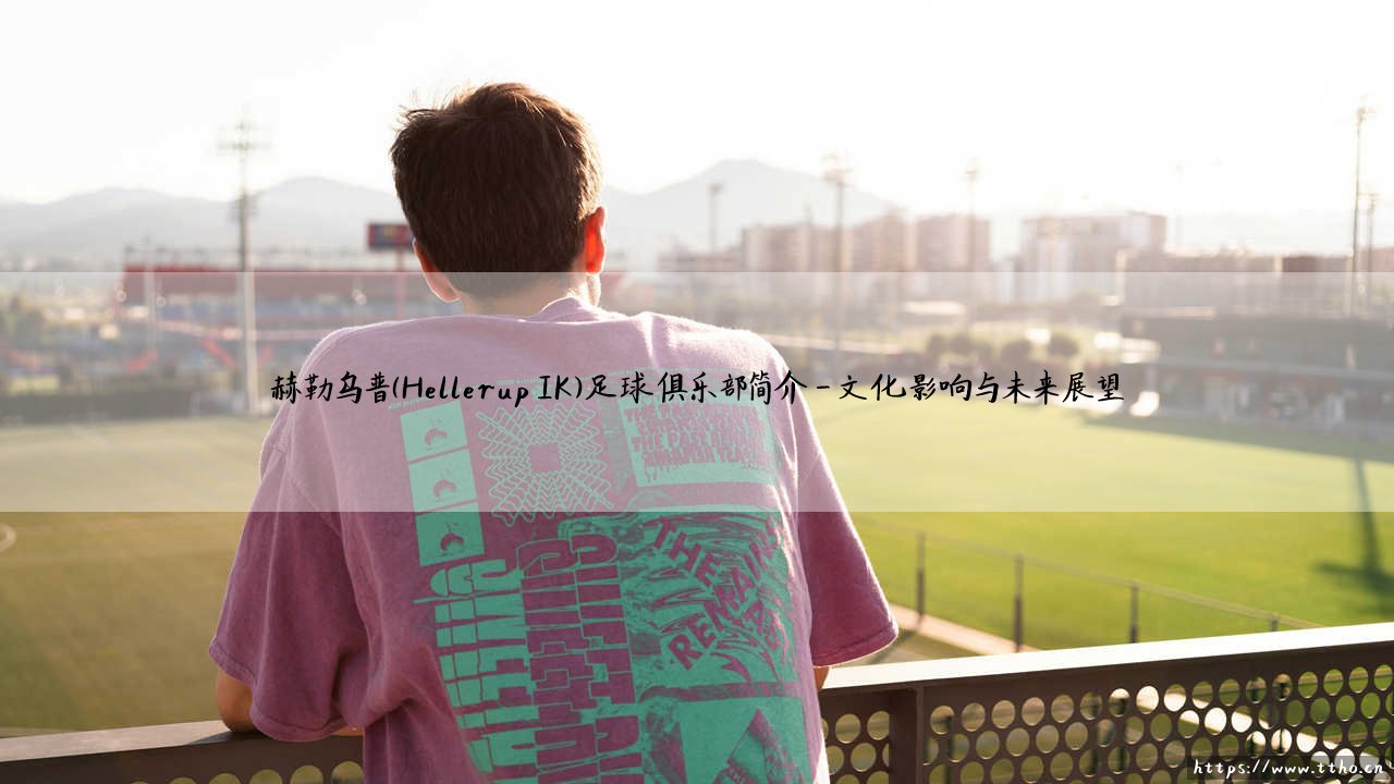 赫勒乌普足球俱乐部简介：探寻赫勒乌普IK的荣耀之路-第4张图片-天体号