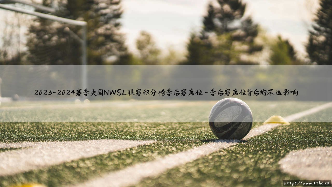 2023-2024赛季美国NWSL联赛积分榜：季后赛席位争夺战，谁是最终赢家？-第4张图片-天体号