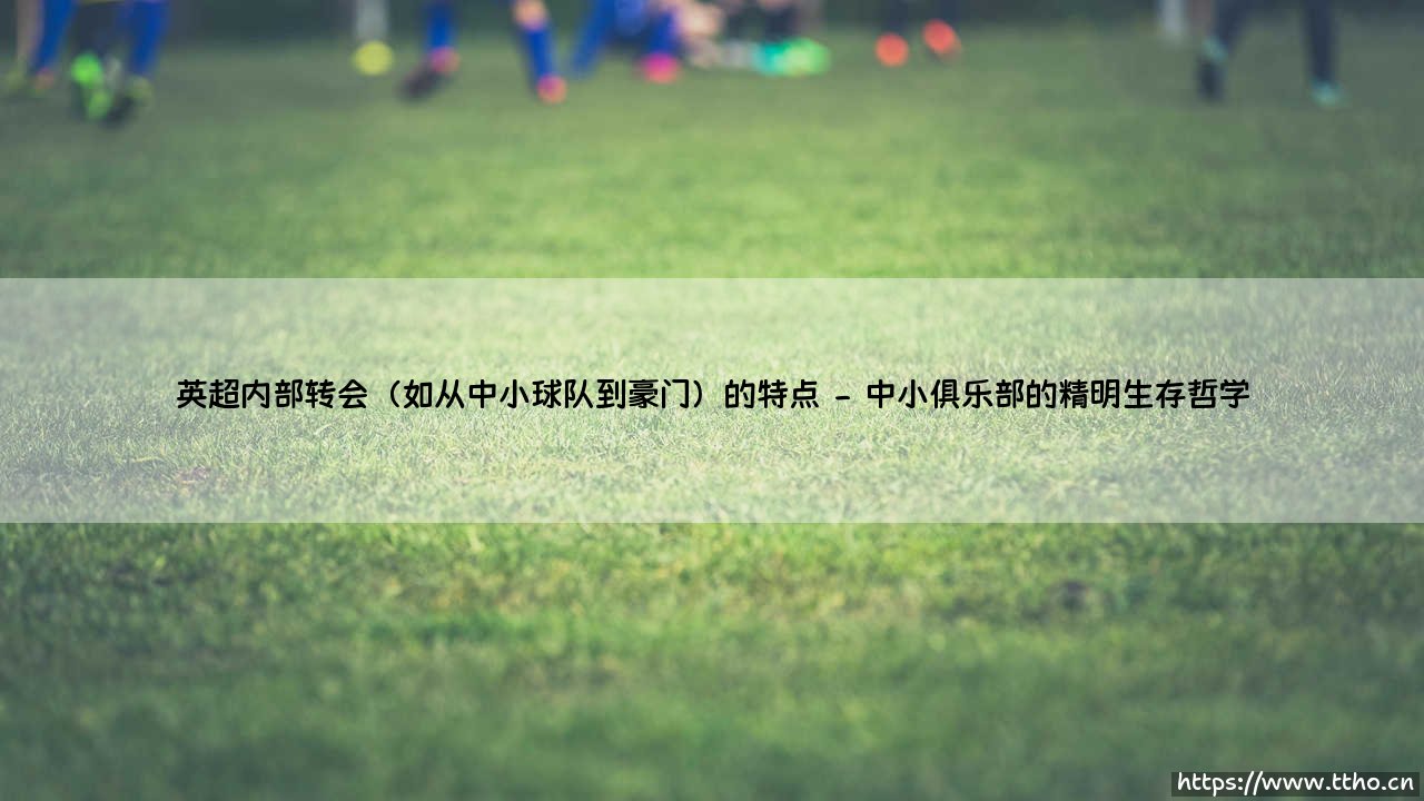 英超内部流转:解码中小球队到豪门的转会密码与生存博弈-第2张图片-天体号 英超内部流转:解码中小球队到豪门的转会密码与生存博弈-第2张图片-天体号
