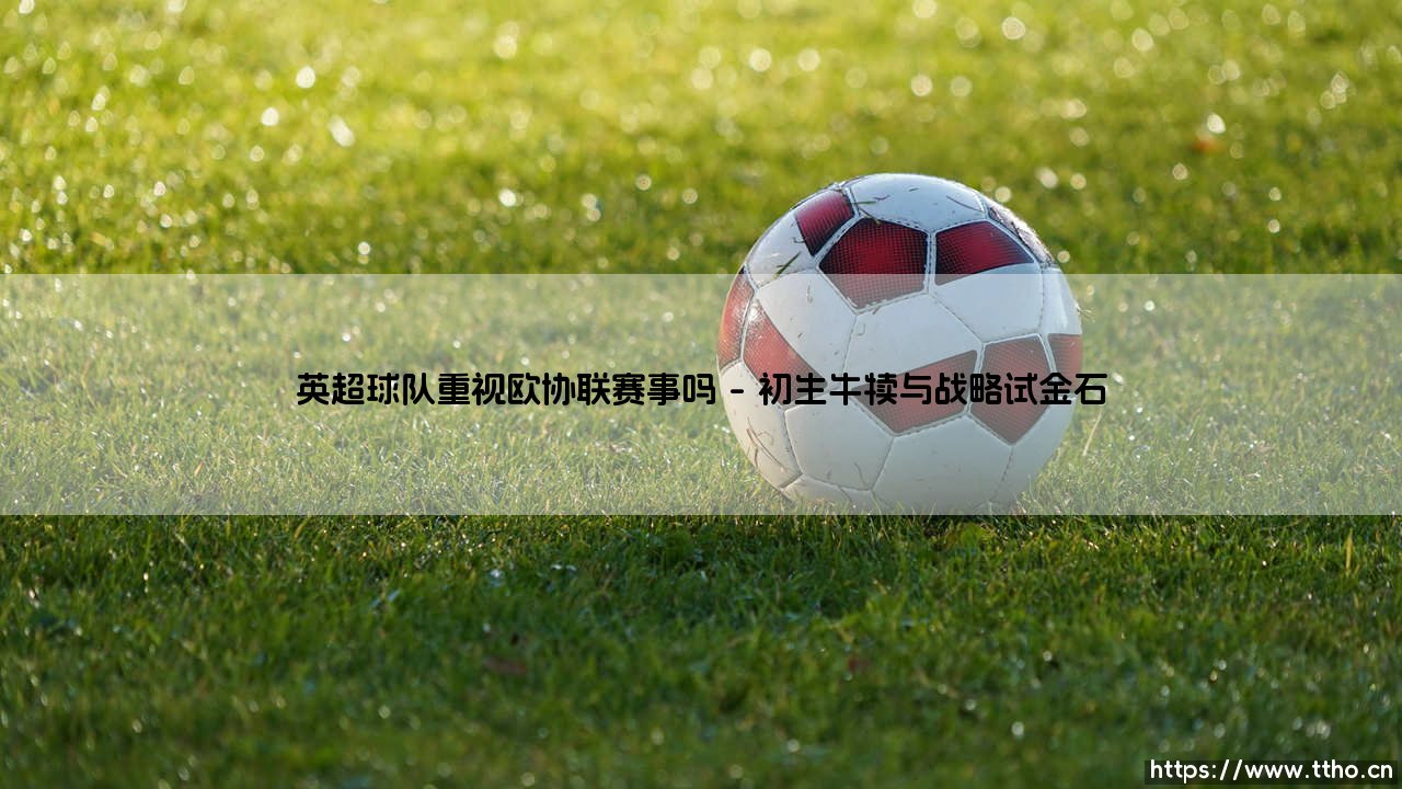 英超球队重视欧协联赛事吗?一场荣誉与战略的微妙博弈-第1张图片-天体号 英超球队重视欧协联赛事吗?一场荣誉与战略的微妙博弈-第1张图片-天体号