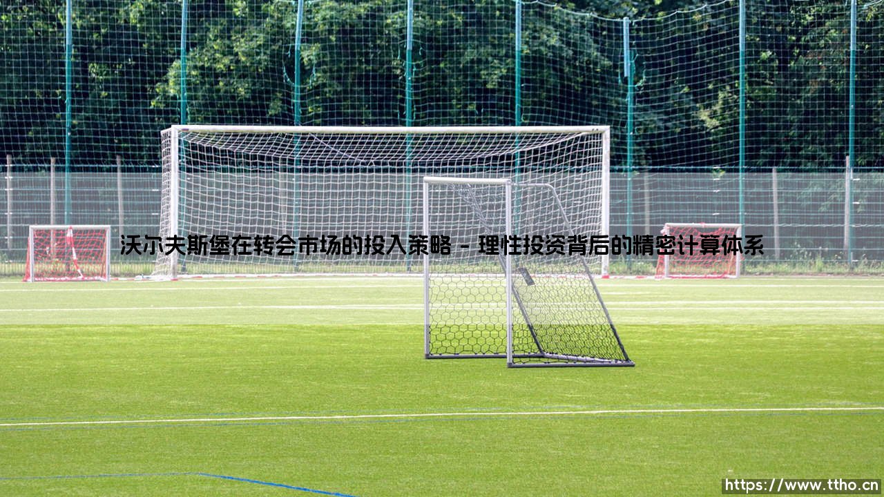 沃尔夫斯堡在转会市场的投入策略_足球第一线-第1张图片-天体号