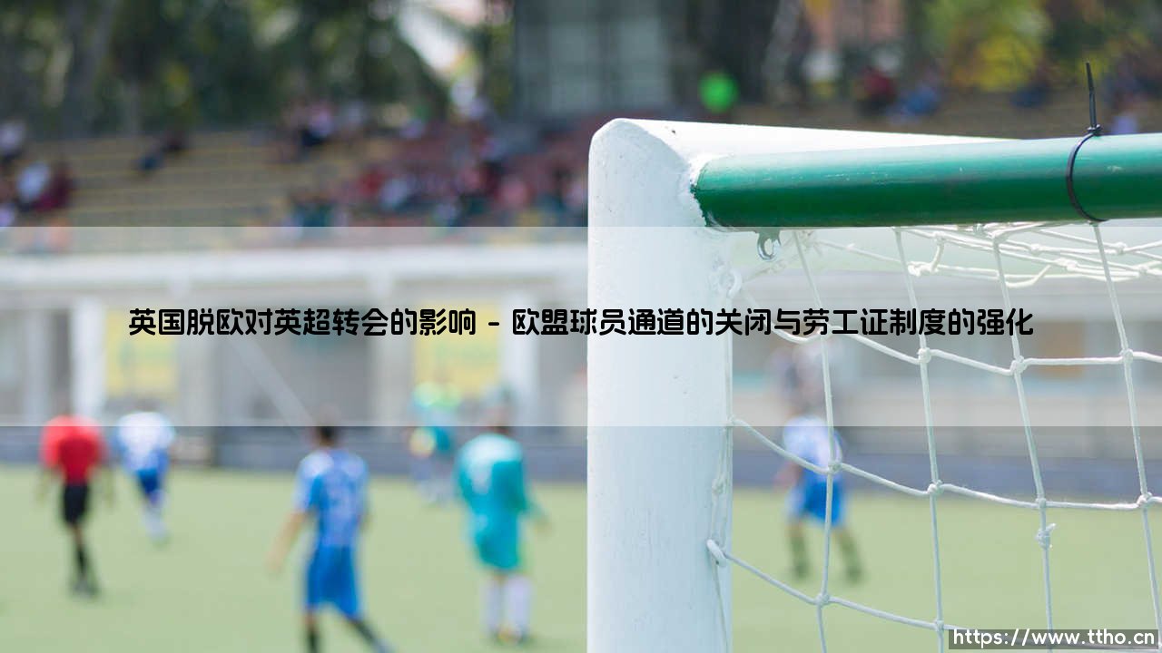英国脱欧对英超转会的影响：一场静悄悄的革命-第1张图片-天体号