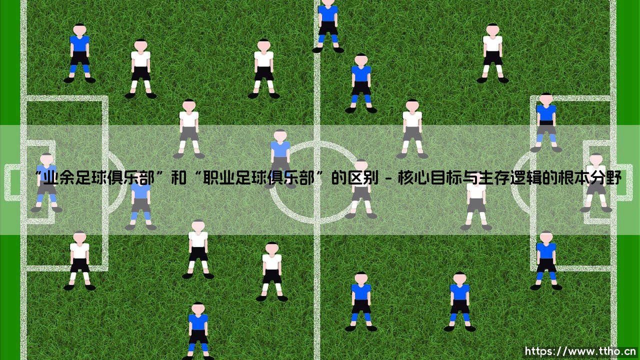 业余足球俱乐部与职业足球俱乐部,究竟有何不同?-第1张图片-天体号 业余足球俱乐部与职业足球俱乐部,究竟有何不同?-第1张图片-天体号