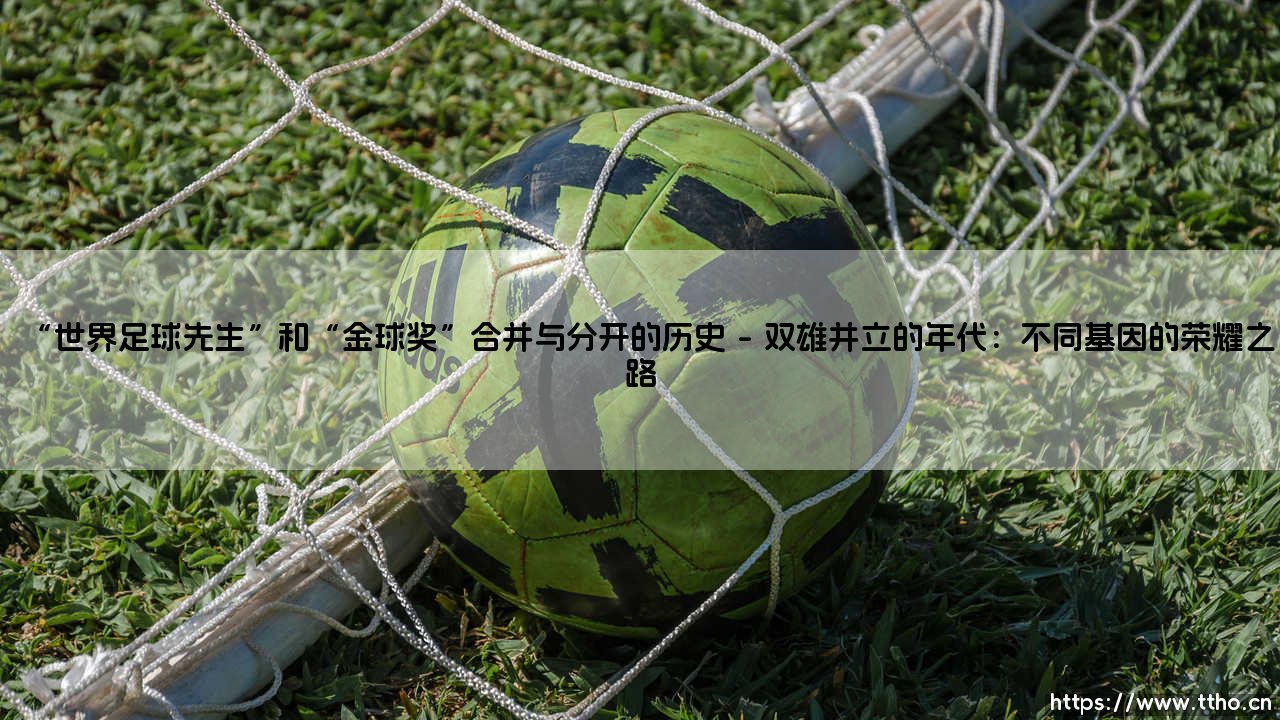 世界足球先生与金球奖：分合背后的足坛权力演变-第1张图片-天体号