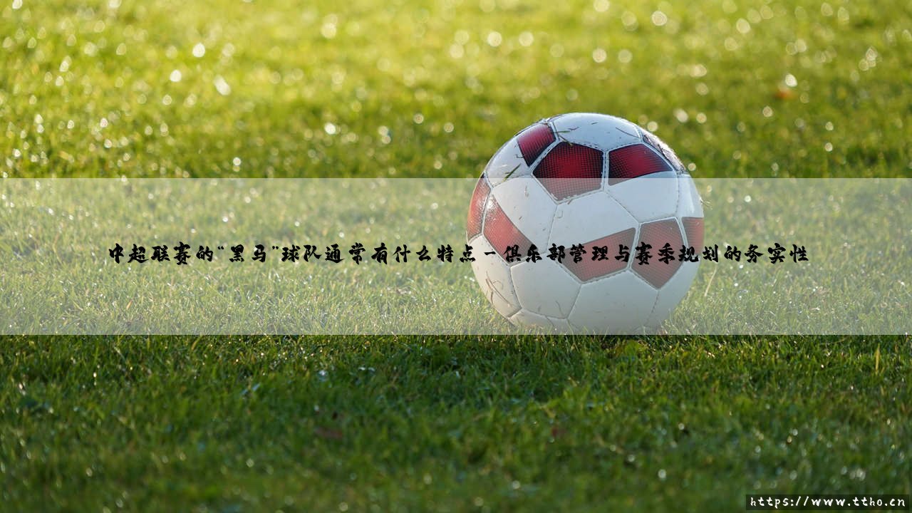中超联赛的“黑马”球队,究竟是如何炼成的?-第3张图片-天体号 中超联赛的“黑马”球队,究竟是如何炼成的?-第3张图片-天体号