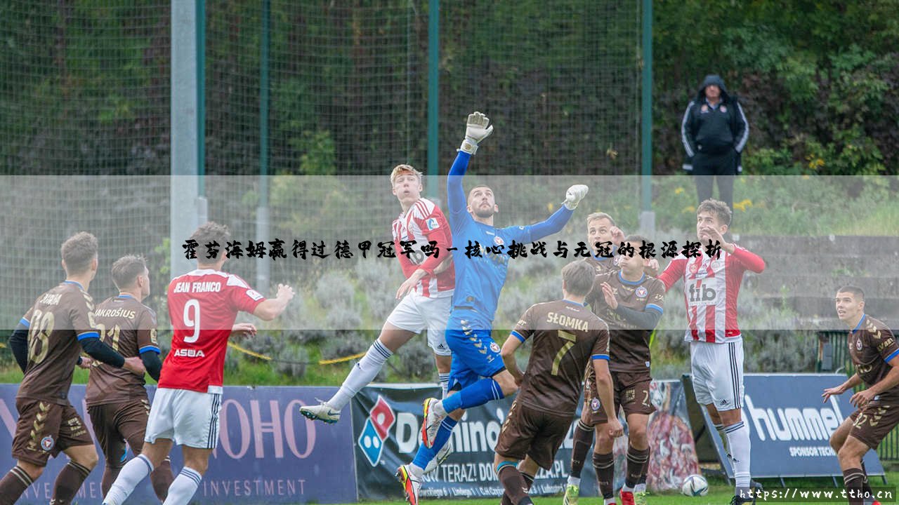 霍芬海姆赢得过德甲冠军吗？——揭秘霍芬海姆的德甲冠军之路-第3张图片-天体号