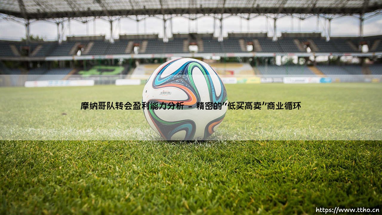 摩纳哥队转会盈利能力分析:这家法甲俱乐部为何是欧洲足坛的「黑店」典范?-第2张图片-天体号 摩纳哥队转会盈利能力分析:这家法甲俱乐部为何是欧洲足坛的「黑店」典范?-第2张图片-天体号