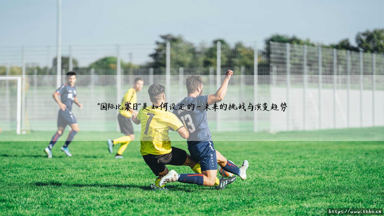 国际比赛日的奥秘:全球绿茵为何同步寂静?「国际比赛日」是如何设定的-第4张图片-天体号 国际比赛日的奥秘:全球绿茵为何同步寂静?「国际比赛日」是如何设定的-第4张图片-天体号