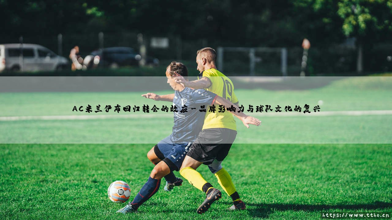 AC米兰伊布回归转会的效应「足坛哨声」-第3张图片-天体号 AC米兰伊布回归转会的效应「足坛哨声」-第3张图片-天体号