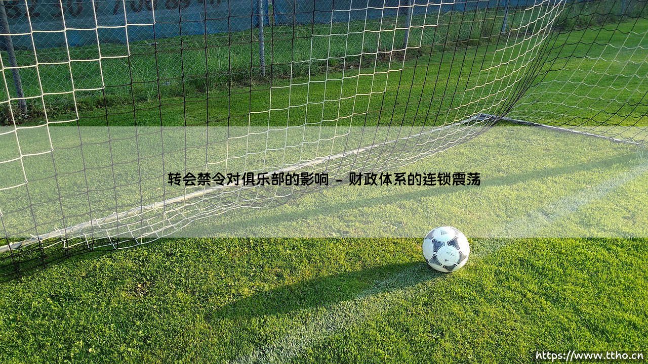 转会禁令的沉重枷锁：深度剖析转会禁令对俱乐部的多维影响-第2张图片-天体号