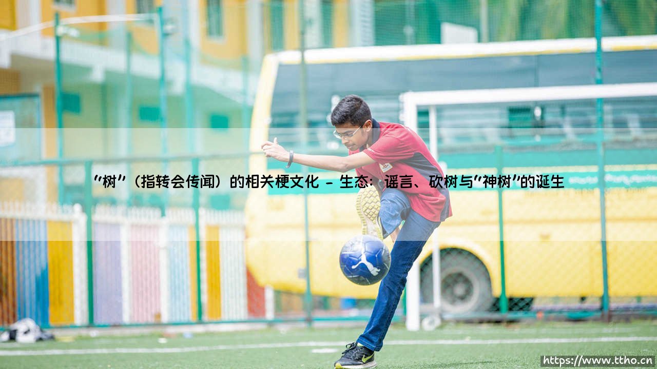 “树”与转会传闻：足球迷的夏日限定文化-第2张图片-天体号