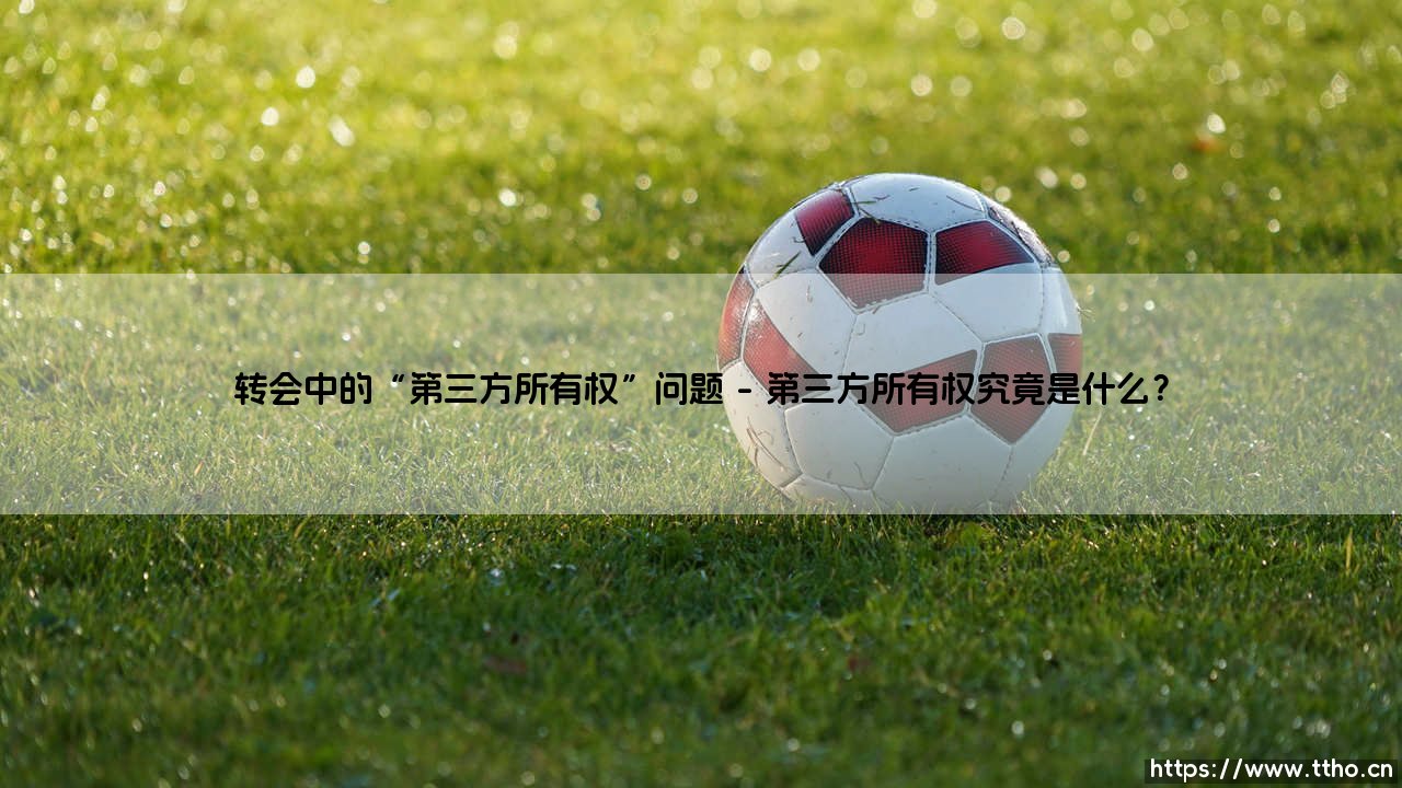 球员转会中的「第三方所有权」:资本游戏,还是足球隐患?-第1张图片-天体号 球员转会中的「第三方所有权」:资本游戏,还是足球隐患?-第1张图片-天体号