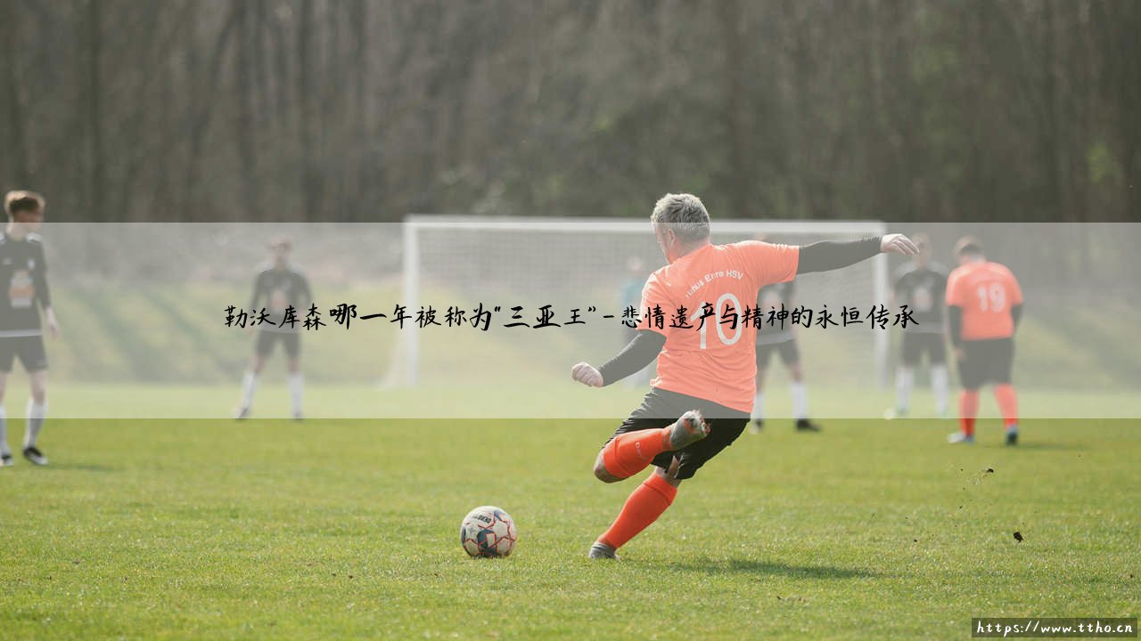 勒沃库森的三亚王之路:哪一年被铭刻为悲壮的亚军之年-第4张图片-天体号 勒沃库森的三亚王之路:哪一年被铭刻为悲壮的亚军之年-第4张图片-天体号