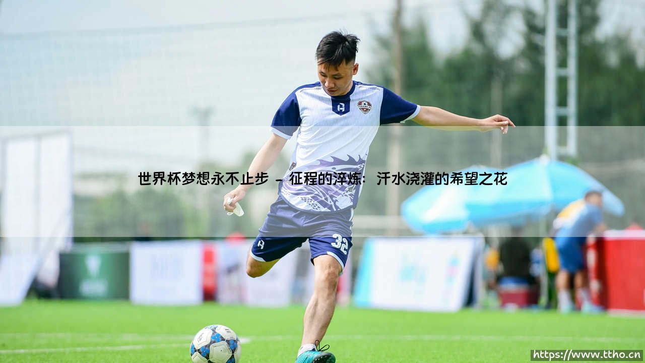 世界杯梦想永不止步「足坛速递」-第2张图片-天体号