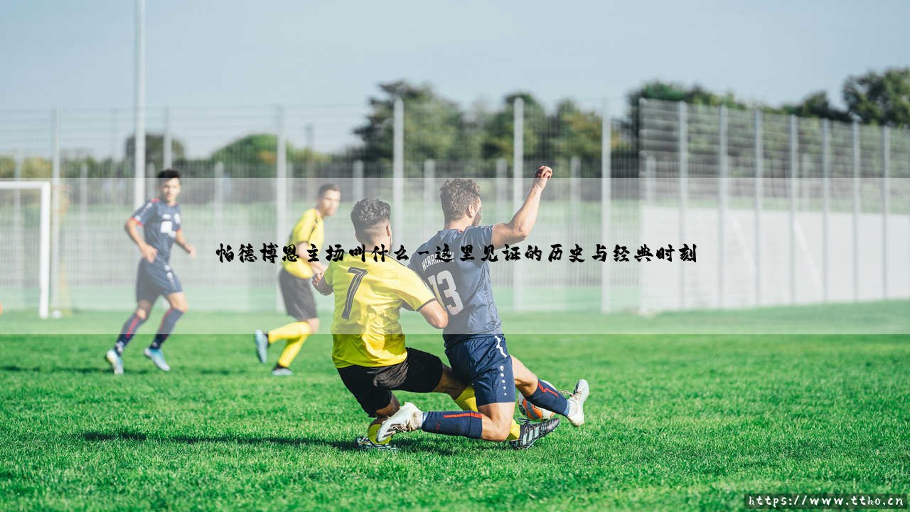 帕德博恩主场叫什么？深入探索：「本特勒竞技场」的绿色心脏-第3张图片-天体号
