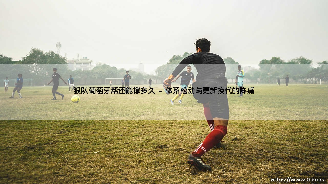 狼队葡萄牙帮还能撑多久_绿茵前线-第2张图片-天体号