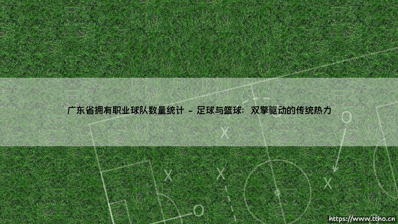广东省拥有职业球队数量统计:南粤大地的体育热土与竞技版图-第2张图片-天体号 广东省拥有职业球队数量统计:南粤大地的体育热土与竞技版图-第2张图片-天体号