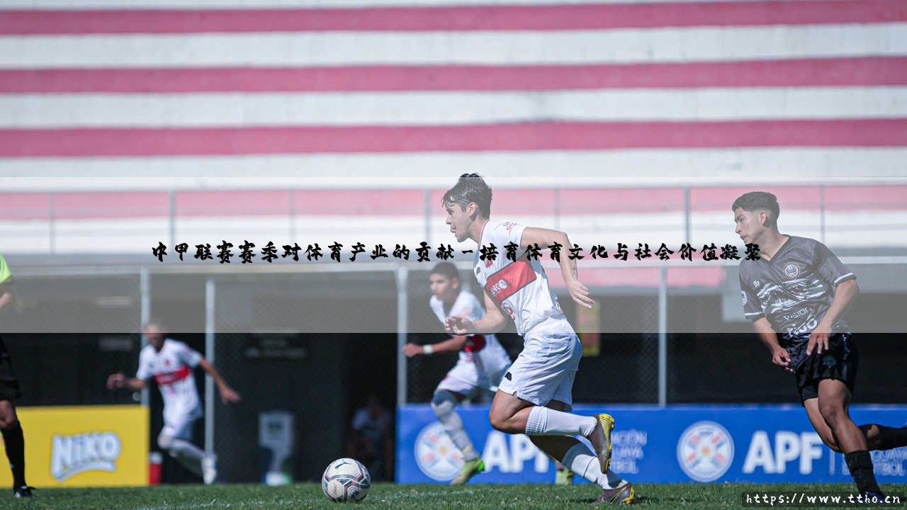 中甲联赛赛季的深远影响:剖析中甲联赛对体育产业的核心贡献-第3张图片-天体号 中甲联赛赛季的深远影响:剖析中甲联赛对体育产业的核心贡献-第3张图片-天体号