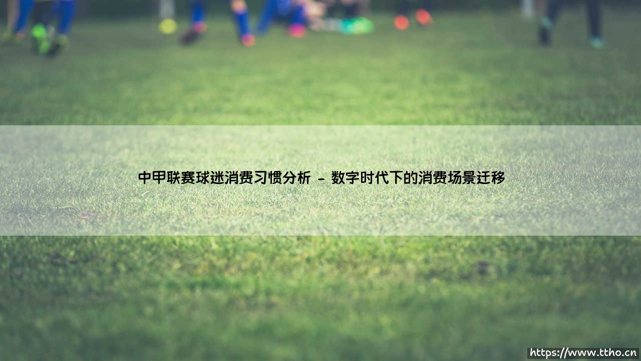 中甲联赛球迷消费习惯分析:球场之外的商业密码-第2张图片-天体号 中甲联赛球迷消费习惯分析:球场之外的商业密码-第2张图片-天体号