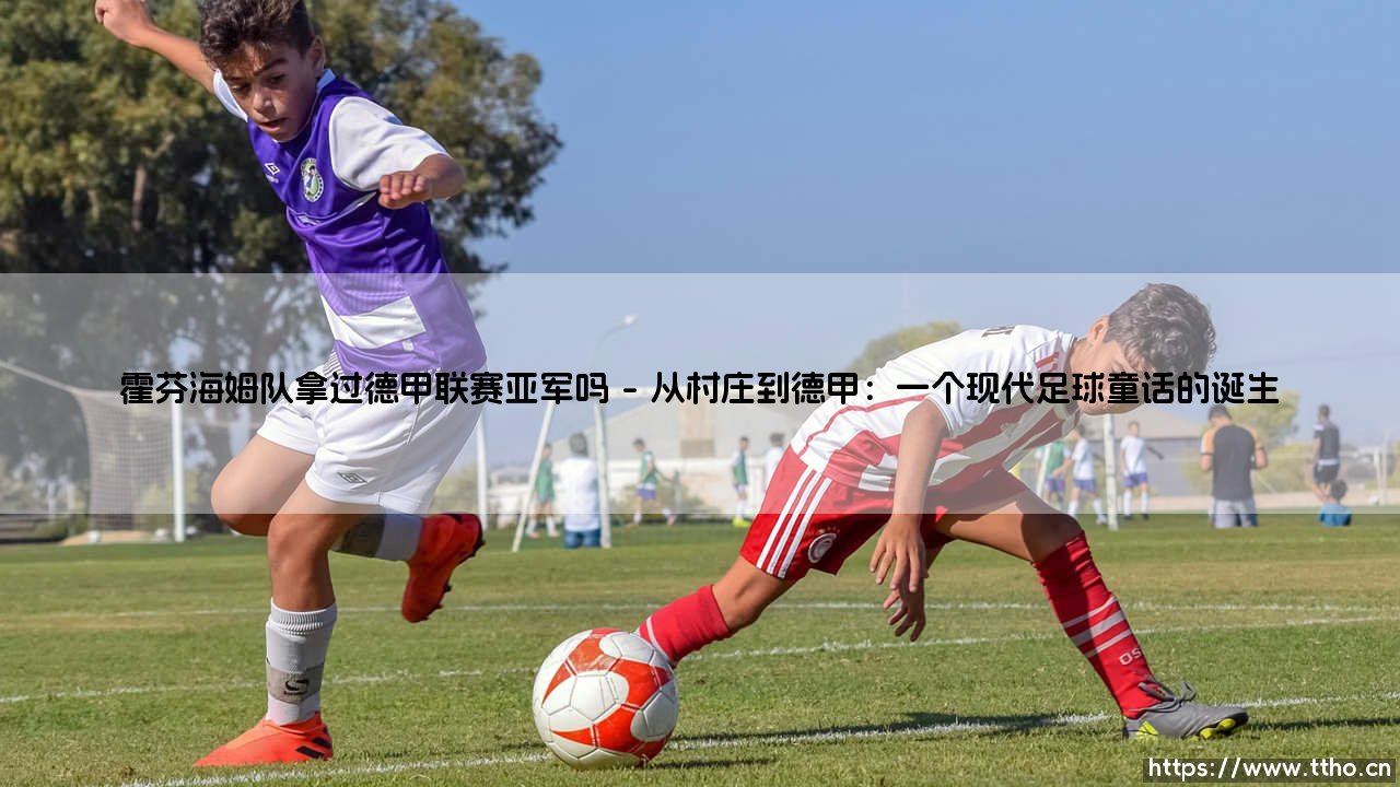 霍芬海姆队拿过德甲联赛亚军吗?——一段从乡村奇迹到巅峰追逐的传奇故事-第1张图片-天体号 霍芬海姆队拿过德甲联赛亚军吗?——一段从乡村奇迹到巅峰追逐的传奇故事-第1张图片-天体号