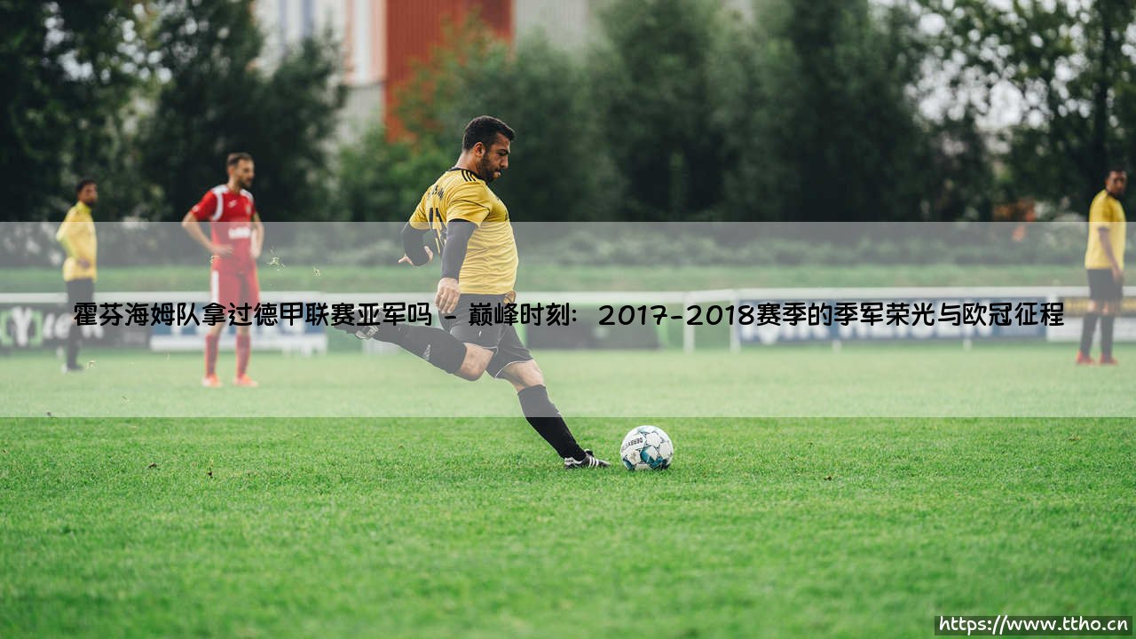 霍芬海姆队拿过德甲联赛亚军吗?——一段从乡村奇迹到巅峰追逐的传奇故事-第2张图片-天体号 霍芬海姆队拿过德甲联赛亚军吗?——一段从乡村奇迹到巅峰追逐的传奇故事-第2张图片-天体号