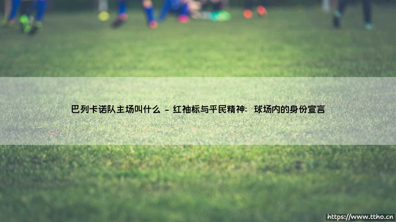 巴列卡诺队主场叫什么?它为何能成为马德里足球精神的另类象征?-第2张图片-天体号 巴列卡诺队主场叫什么?它为何能成为马德里足球精神的另类象征?-第2张图片-天体号
