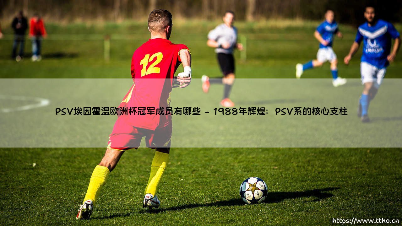 PSV埃因霍温欧洲杯冠军成员有哪些？-第2张图片-天体号