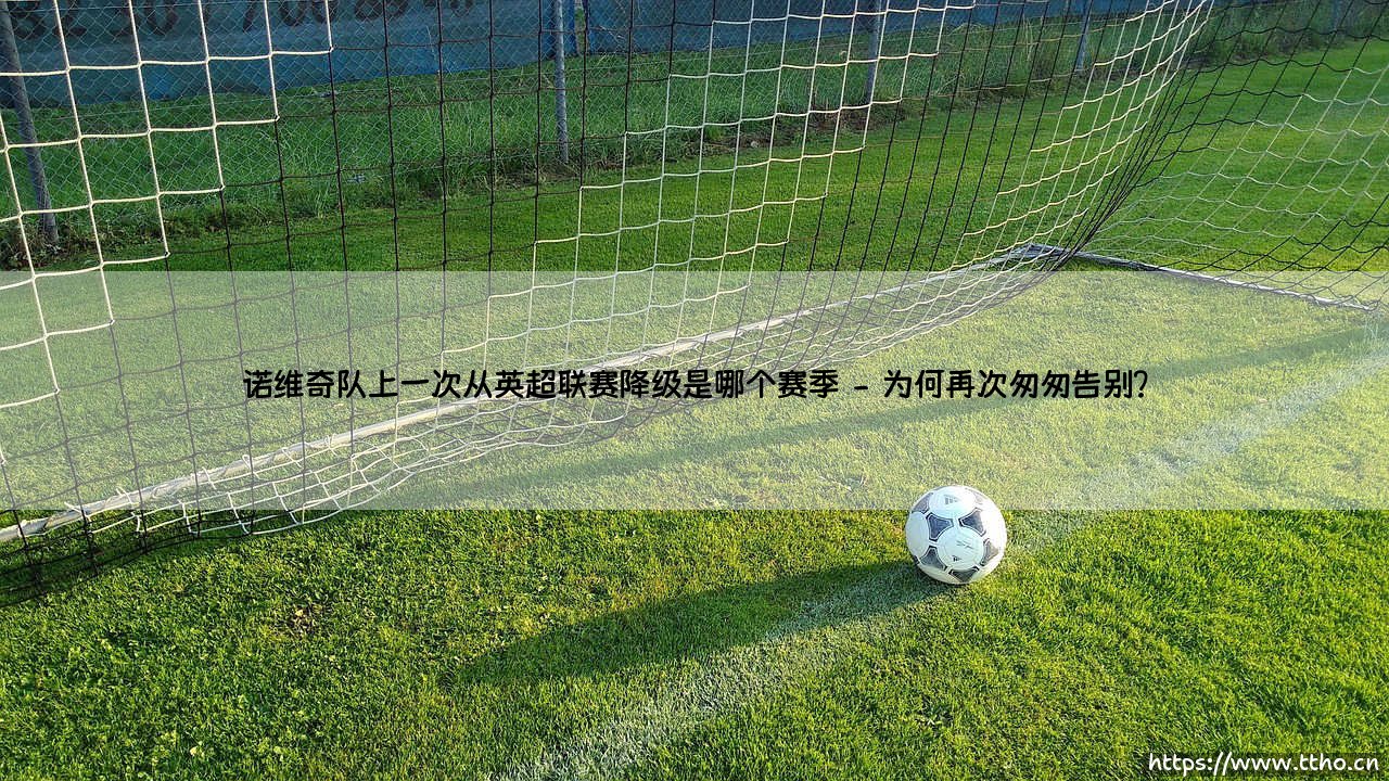 诺维奇队上一次从英超联赛降级是哪个季节？金丝雀的难忘「降落时刻」-第2张图片-天体号