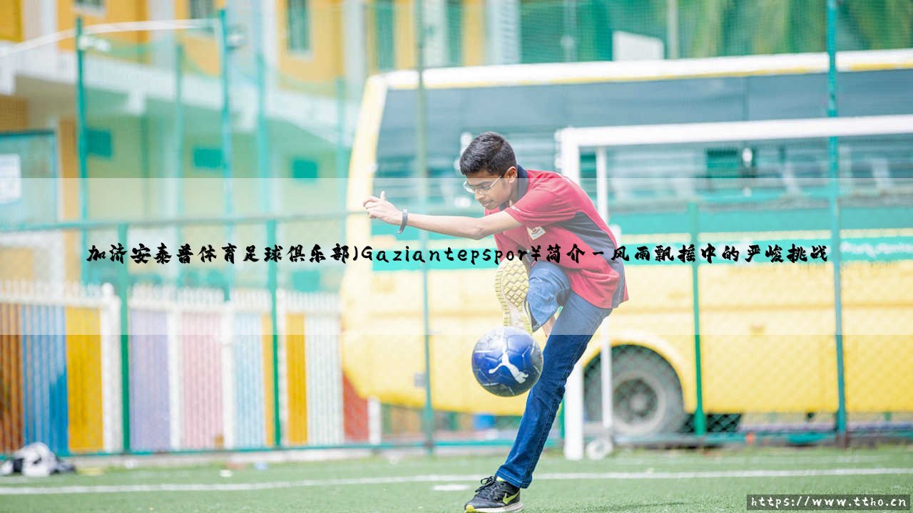 加济安泰普体育足球俱乐部:Gaziantepspor究竟是什么?——一支土耳其足坛的坚韧之师「传奇与挑战并存」-第3张图片-天体号 加济安泰普体育足球俱乐部:Gaziantepspor究竟是什么?——一支土耳其足坛的坚韧之师「传奇与挑战并存」-第3张图片-天体号