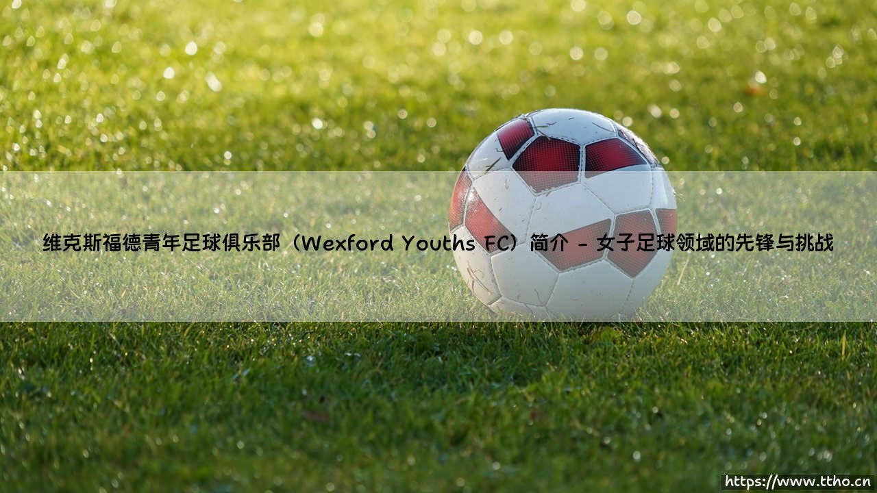 维克斯福德青年足球俱乐部(Wexford Youths FC)简介【远方的球门】-第2张图片-天体号 维克斯福德青年足球俱乐部(Wexford Youths FC)简介【远方的球门】-第2张图片-天体号