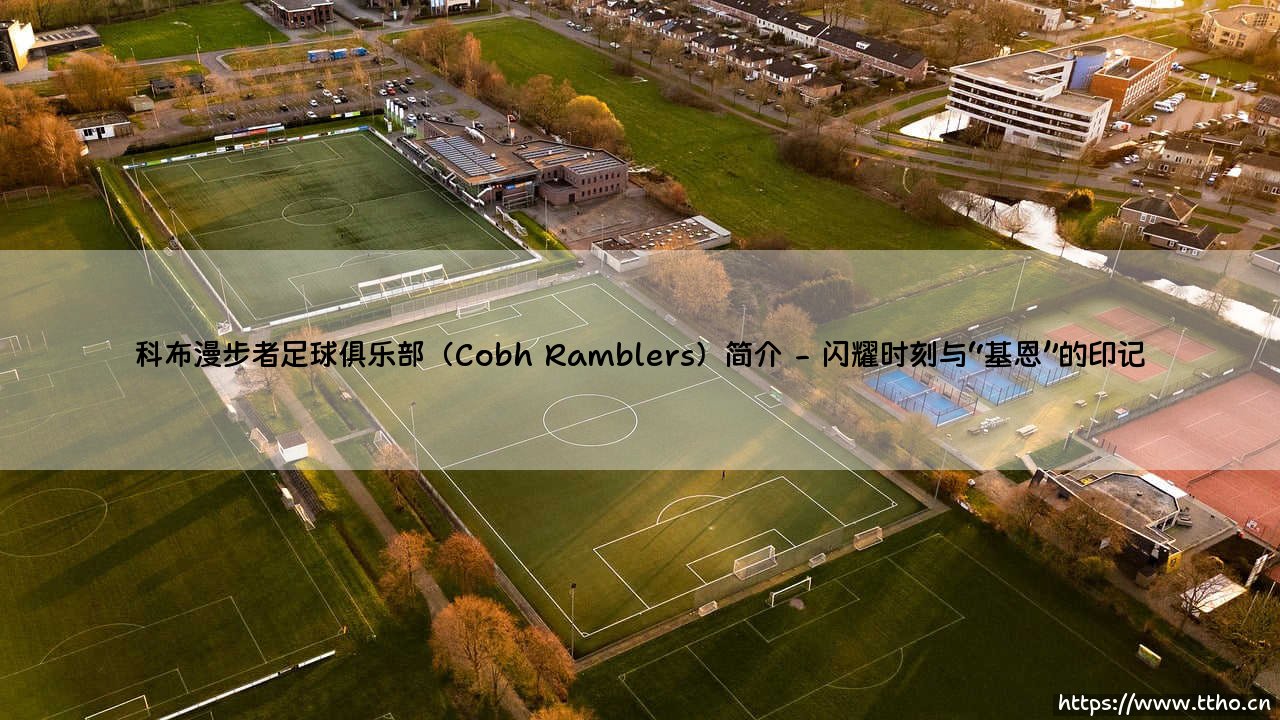 科布漫步者足球俱乐部：爱尔兰足坛的常青树，Cobh Ramblers有何独特魅力？-第2张图片-天体号