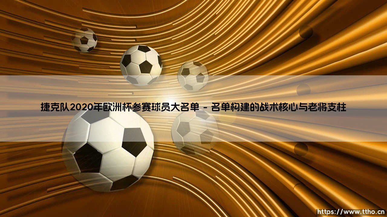 捷克队2020年欧洲杯参赛球员大名单深度解析-第1张图片-天体号