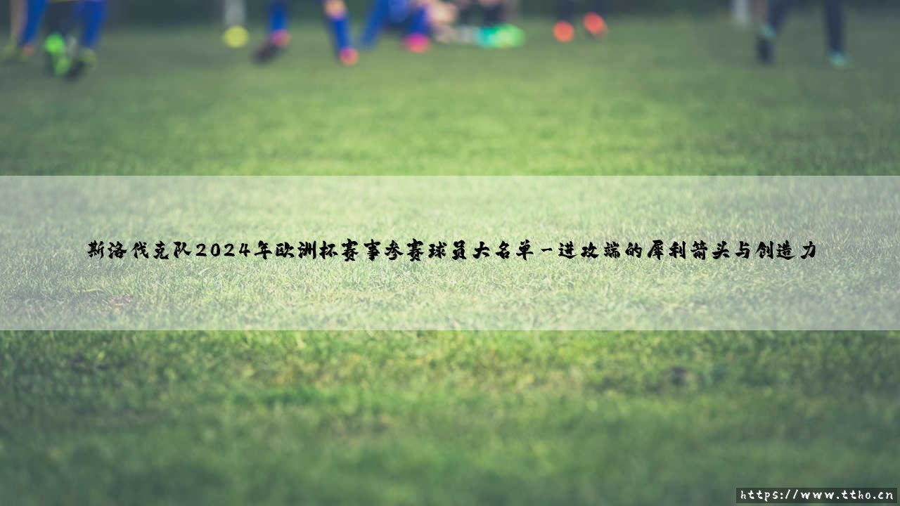 斯洛伐克队2024年欧洲杯赛事参赛球员大名单？一份承载梦想与战斗的「最终名单」深度解析！-第3张图片-天体号