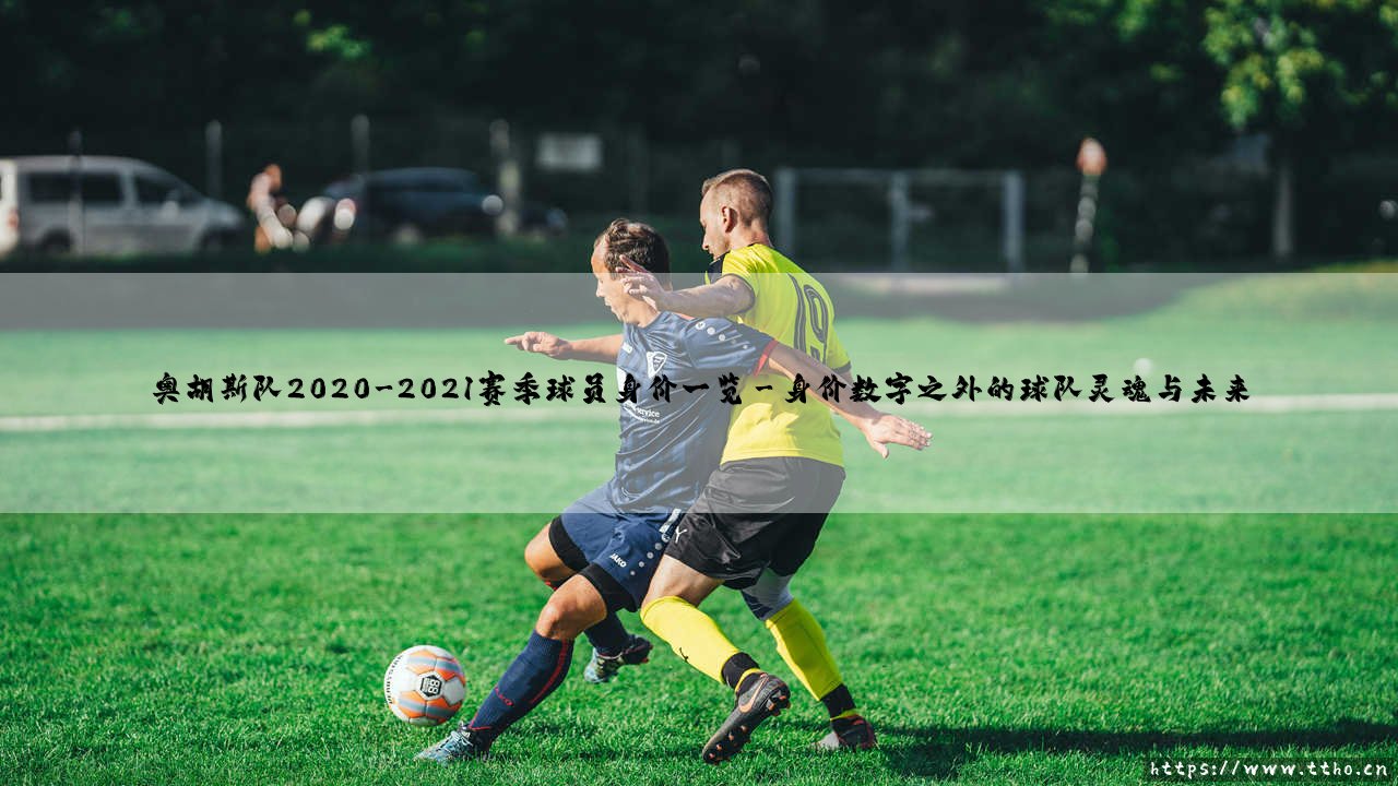 奥胡斯队2020-2021赛季球员身价背后的足球经济密码-第3张图片-天体号 奥胡斯队2020-2021赛季球员身价背后的足球经济密码-第3张图片-天体号
