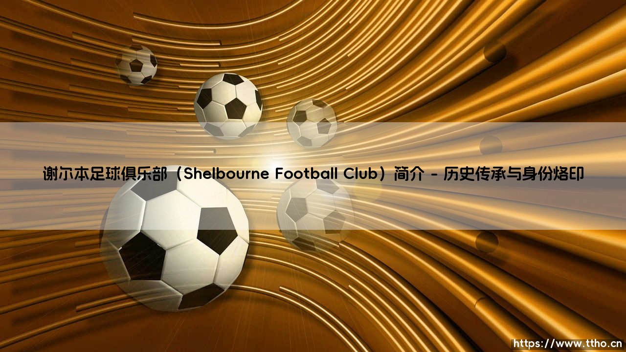 谢尔本足球俱乐部:都柏林心脏的百年红潮-第1张图片-天体号 谢尔本足球俱乐部:都柏林心脏的百年红潮-第1张图片-天体号