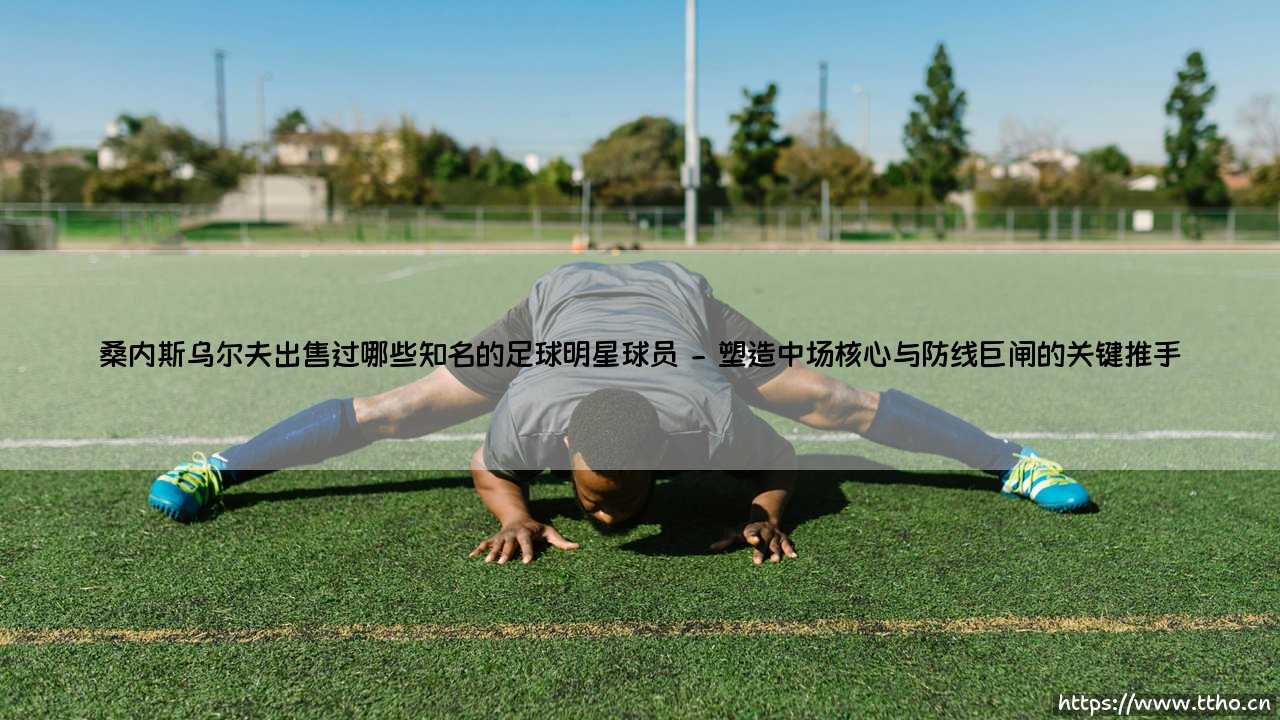 桑内斯乌尔夫出售过哪些知名的足球明星球员(足球全知道)-第2张图片-天体号