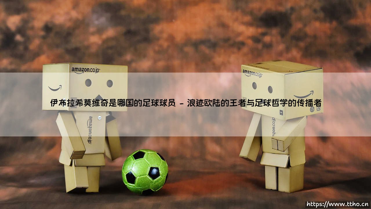 伊布拉希莫维奇:他是哪国足球球员?他又是如何定义现代足球的?-第2张图片-天体号 伊布拉希莫维奇:他是哪国足球球员?他又是如何定义现代足球的?-第2张图片-天体号