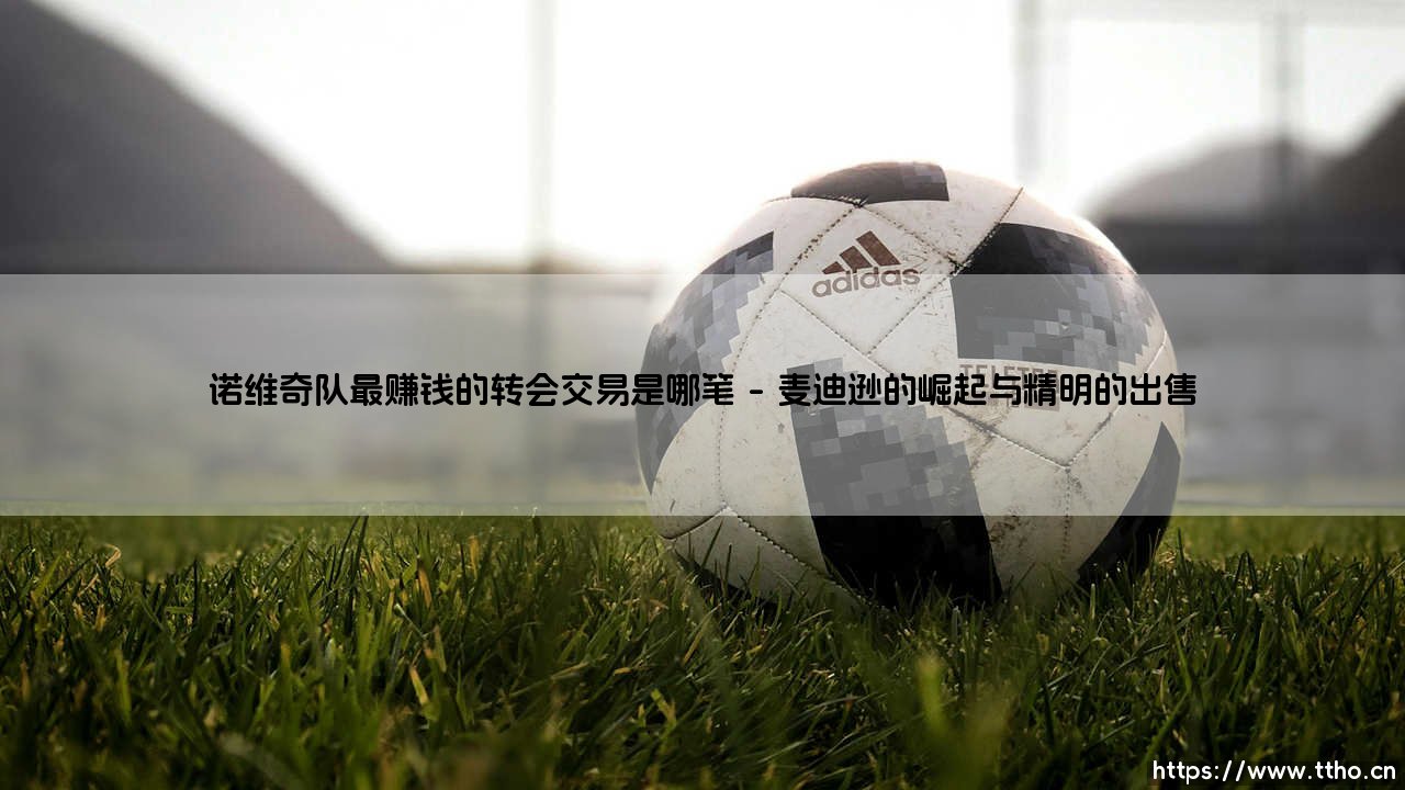诺维奇队最赚钱的转会交易是哪笔:一笔交易背后的生存智慧-第1张图片-天体号 诺维奇队最赚钱的转会交易是哪笔:一笔交易背后的生存智慧-第1张图片-天体号
