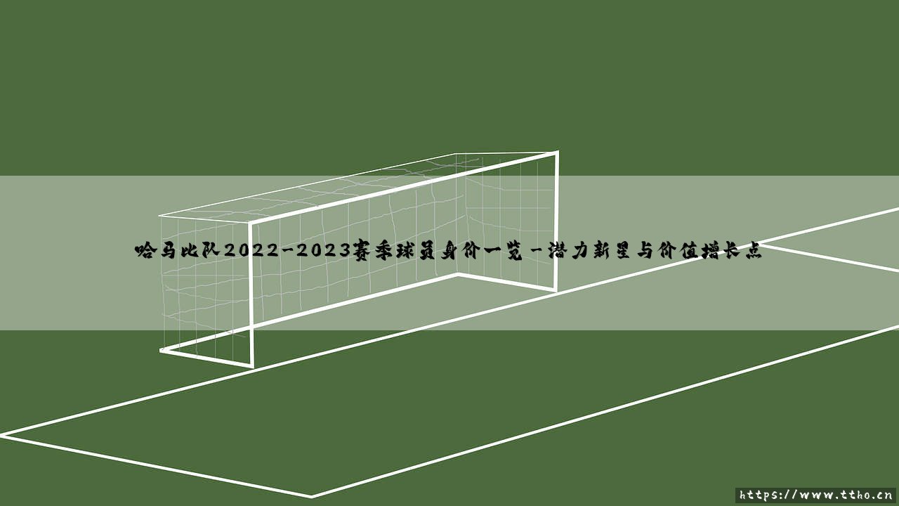 哈马比队2022-2023赛季球员身价全景:一份价值与潜力的深度解析-第3张图片-天体号 哈马比队2022-2023赛季球员身价全景:一份价值与潜力的深度解析-第3张图片-天体号