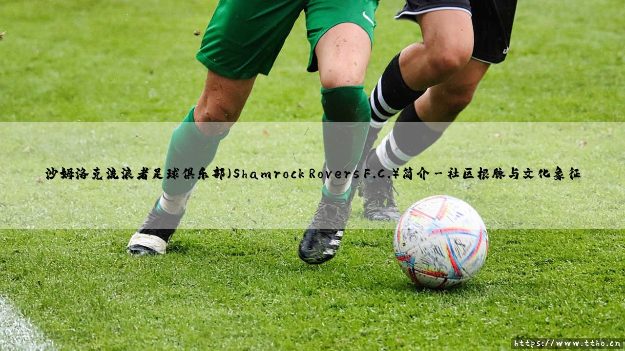 沙姆洛克流浪者足球俱乐部简介:爱尔兰绿茵豪门的百年传奇与沙姆洛克流浪者足球俱乐部的荣耀之路-第3张图片-天体号 沙姆洛克流浪者足球俱乐部简介:爱尔兰绿茵豪门的百年传奇与沙姆洛克流浪者足球俱乐部的荣耀之路-第3张图片-天体号
