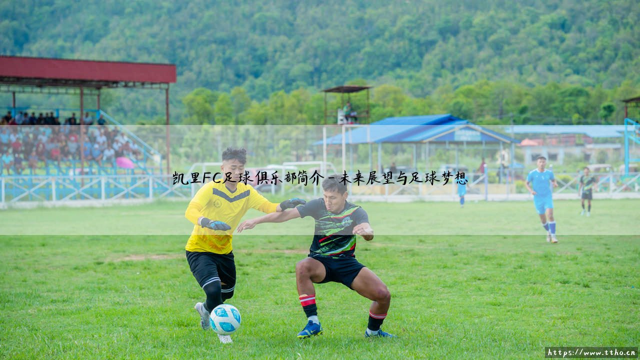 凯里FC足球俱乐部简介：你听说过这支来自贵州的足球力量吗？-第4张图片-天体号
