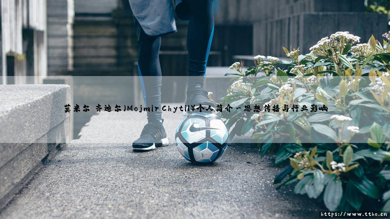莫米尔·齐迪尔的个人简介:从幕后分析师到市场洞察者-第3张图片-天体号 莫米尔·齐迪尔的个人简介:从幕后分析师到市场洞察者-第3张图片-天体号